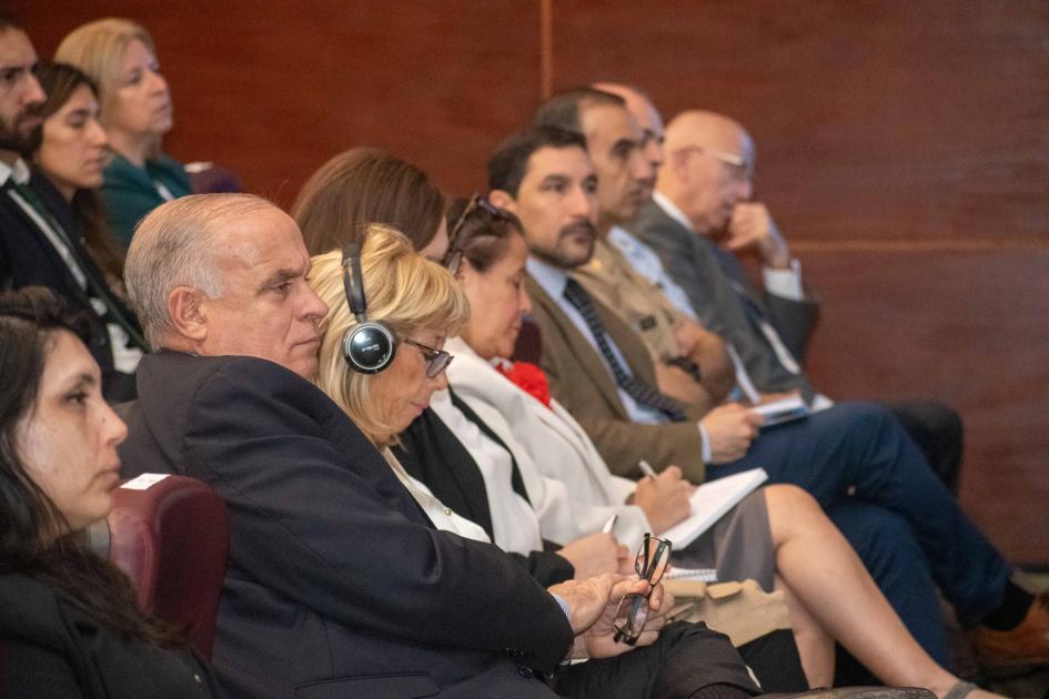 Conferencia Internacional “la paz necesita a las mujeres”, en el marco del Proyecto Elsie Conferencia Internacional “la paz necesita a las mujeres”, en el marco del Proyecto Elsie