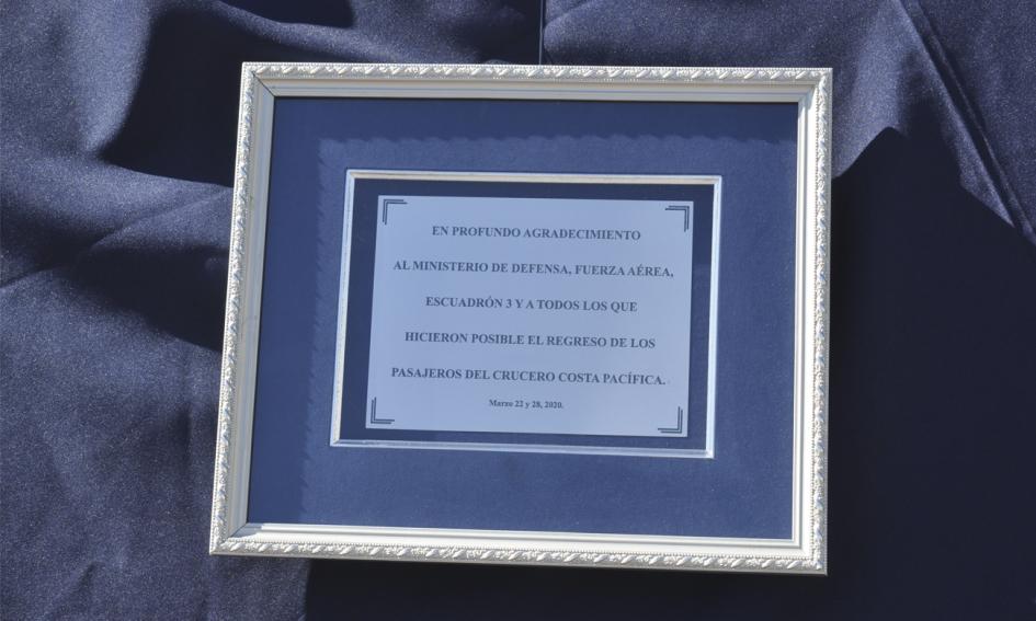 Homenaje a la Fuerza Aérea por "Todos en casa" Homenaje a la Fuerza Aérea por "Todos en casa"