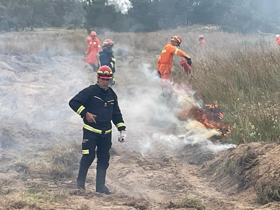 Capacitación a efectivos del Ejército, Fuerza Aérea y bomberos en prevención y combate de incendios 