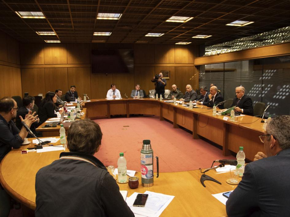Presentación de proyecto en el parlamento