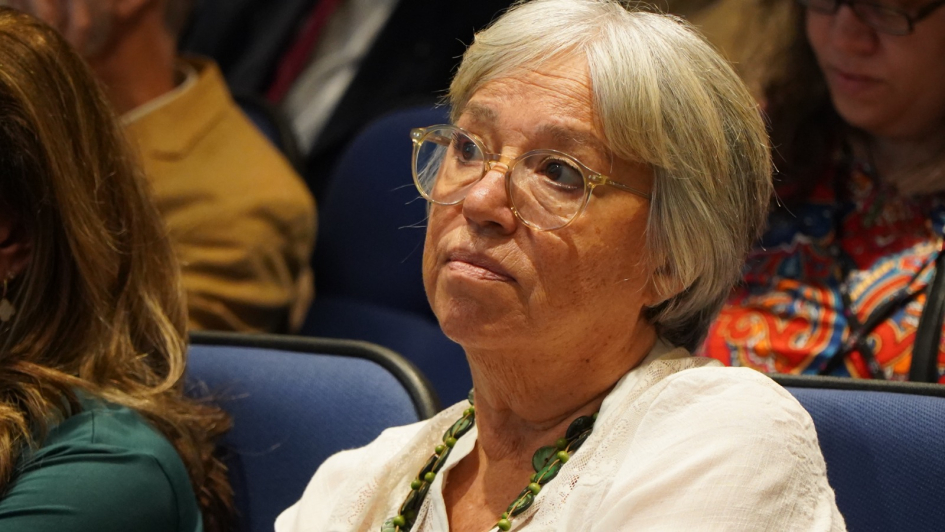 Presentación de resultados Proyecto Elsie Presentación de resultados Proyecto Elsie