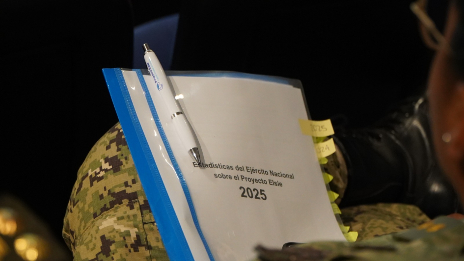 Presentación de resultados Proyecto Elsie Presentación de resultados Proyecto Elsie