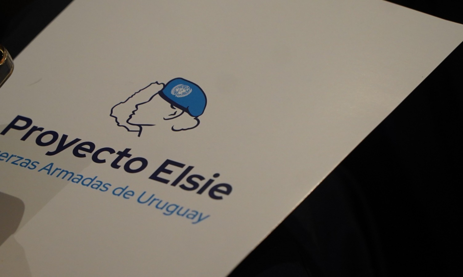 Presentación de resultados Proyecto Elsie Presentación de resultados Proyecto Elsie