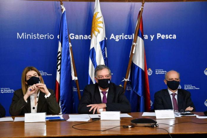 Fernanda Maldonado, Fernando Matto y Javier García