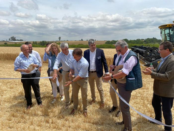 Inauguración de la cosecha de trigo