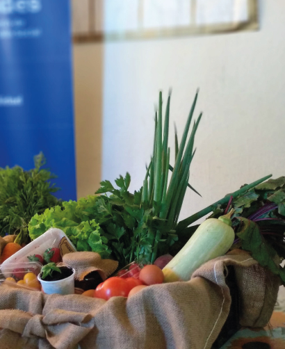 Verduras y hortalizas