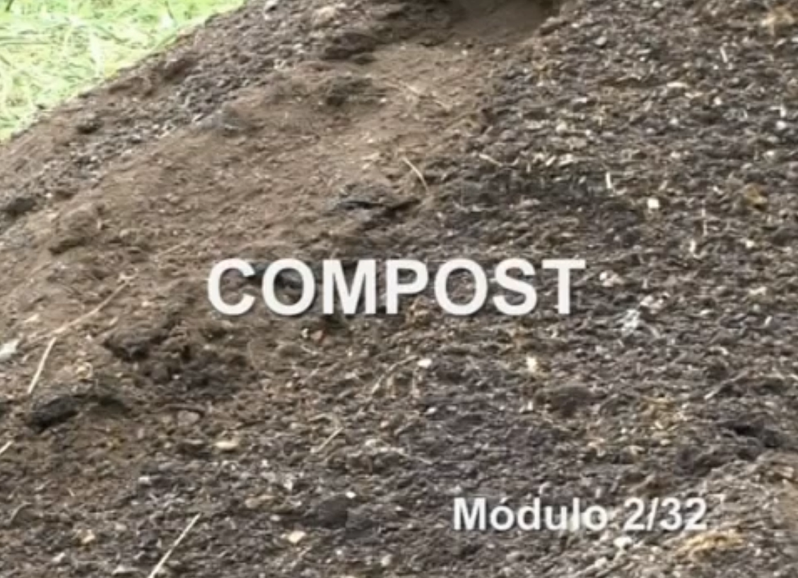 Portada del video