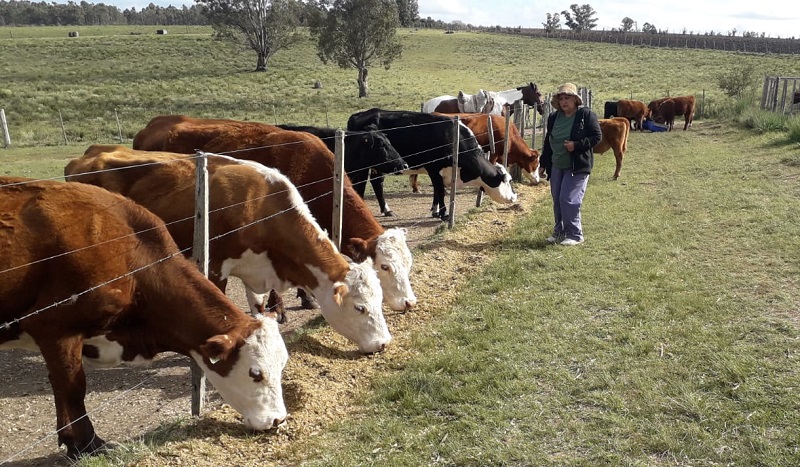 Marita en el campo