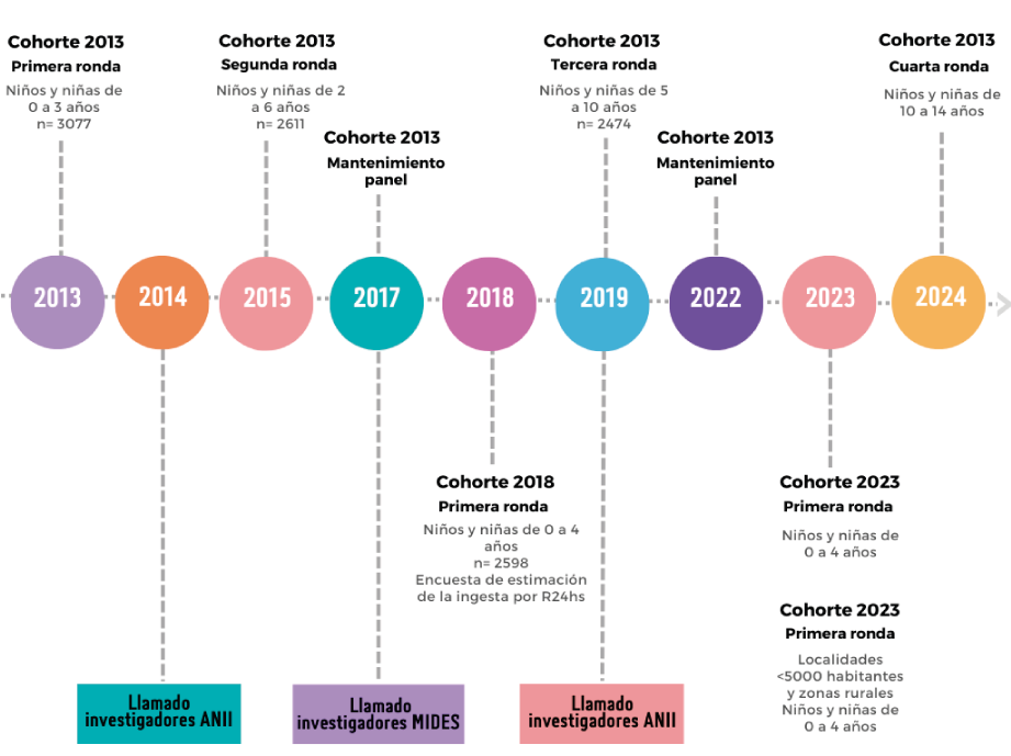 Esquema de organización de la ENDIS