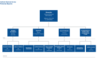 Organigrama del Instituto Nacional de las Personas Mayores