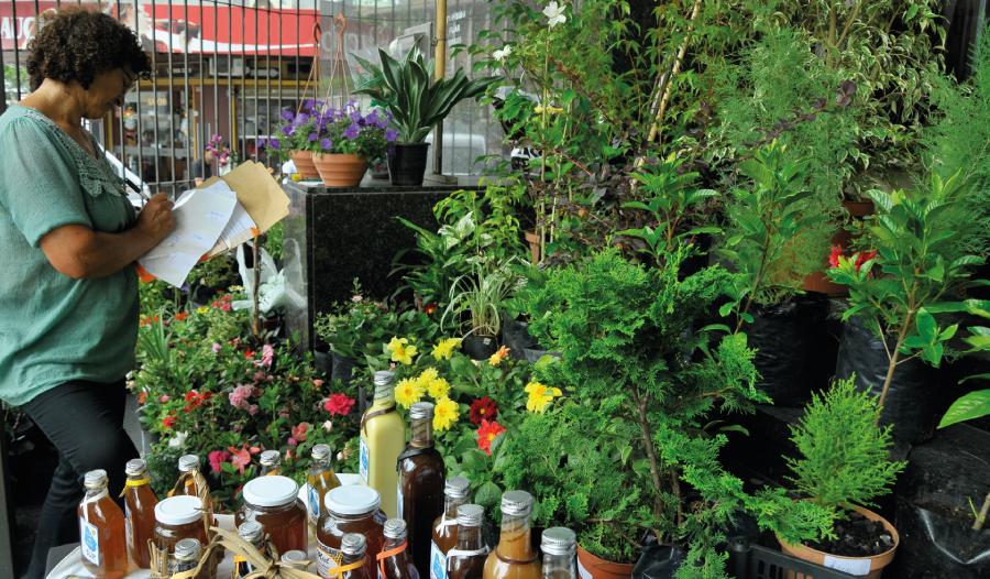 Mujer toma notas al lado de plantas en un vivero.