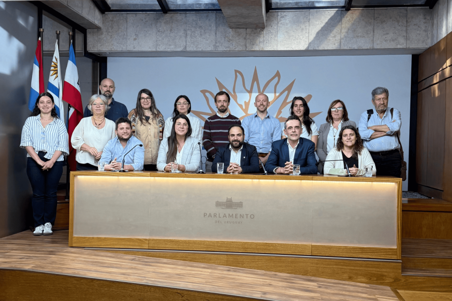 Autoridades del Ministerio de Desarrollo Social en Comisión de Presupuesto del Senado.