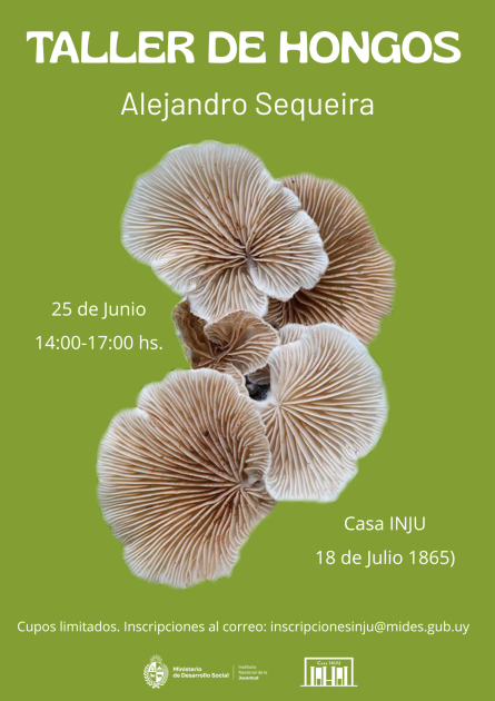 Afiche verde con hongos e información del taller