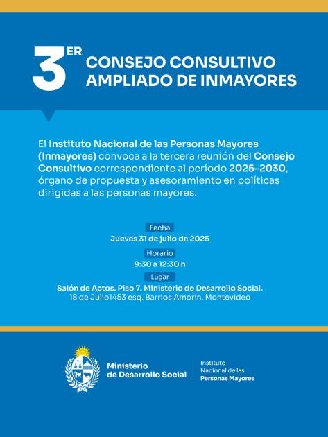 Consejo Consultivo Ampliado de Inmayores