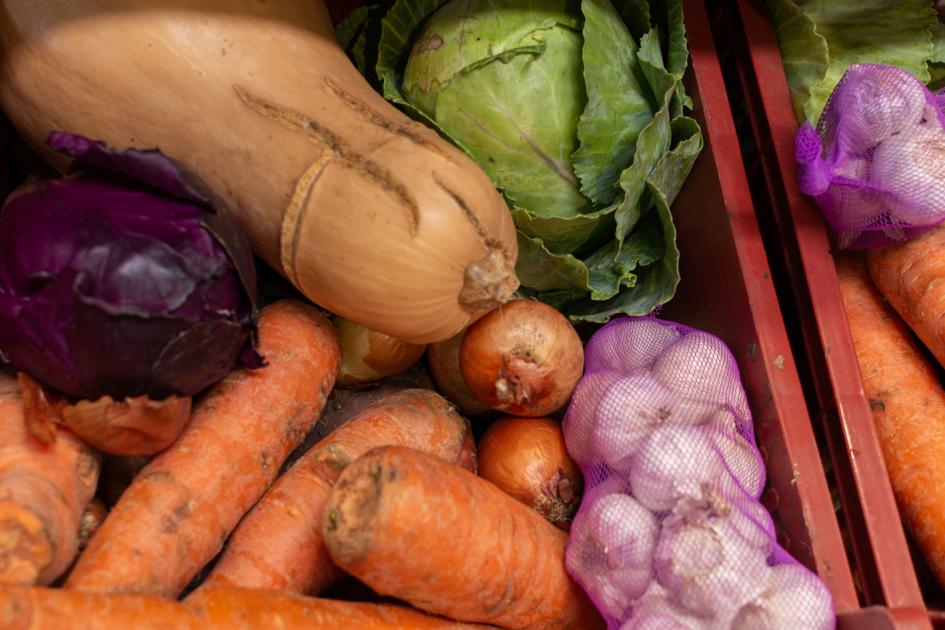 Verduras variadas prontas para su utilización.