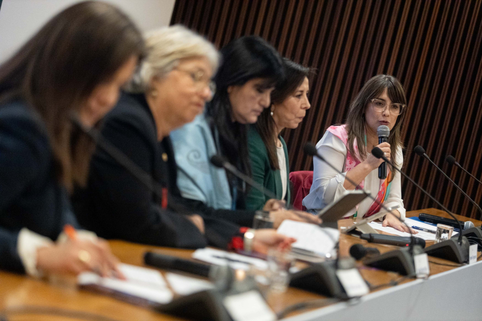 Panel Igualdad de Género como Pilar de la Democracia. Foto: Flickr, IDEA Internacional