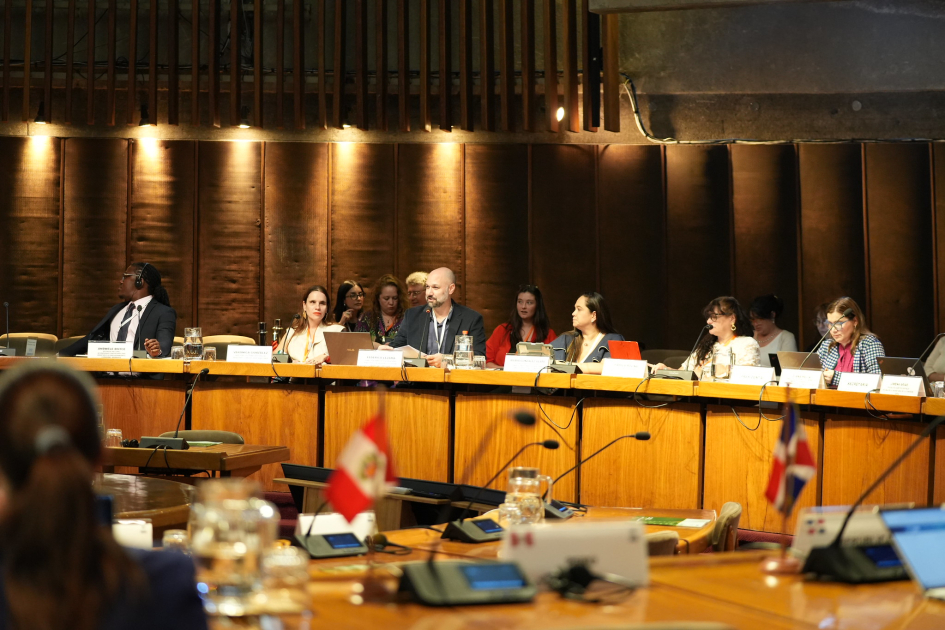 Mesa sobre discapacidad CEPAL.