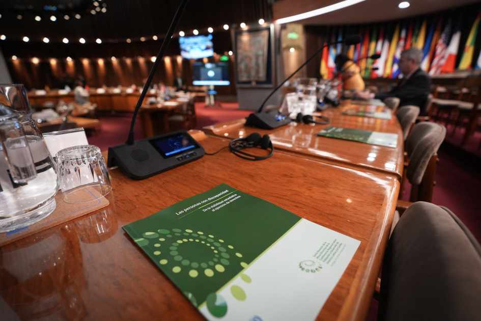 Mesa sobre discapacidad CEPAL.