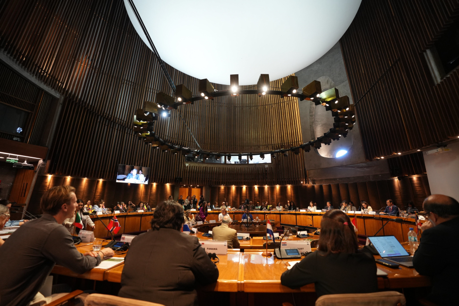 Mesa sobre discapacidad CEPAL.