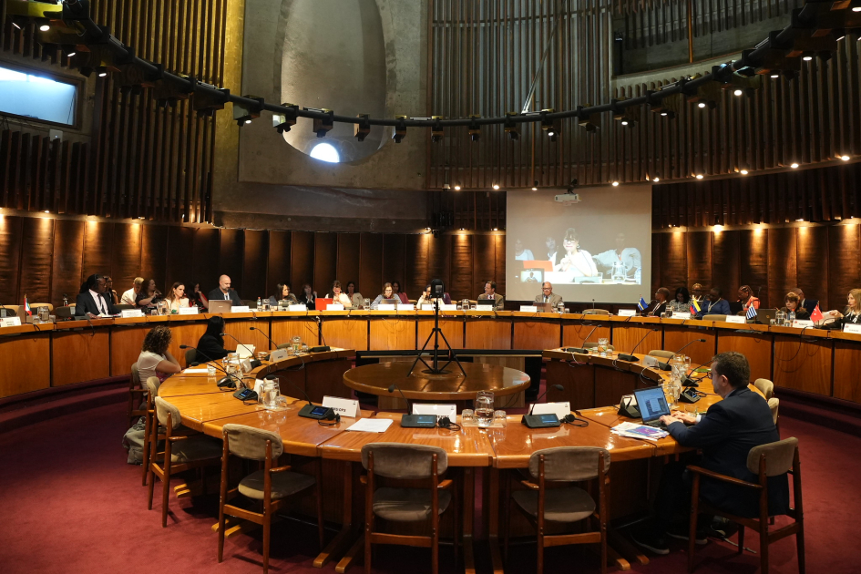 Mesa sobre discapacidad CEPAL.