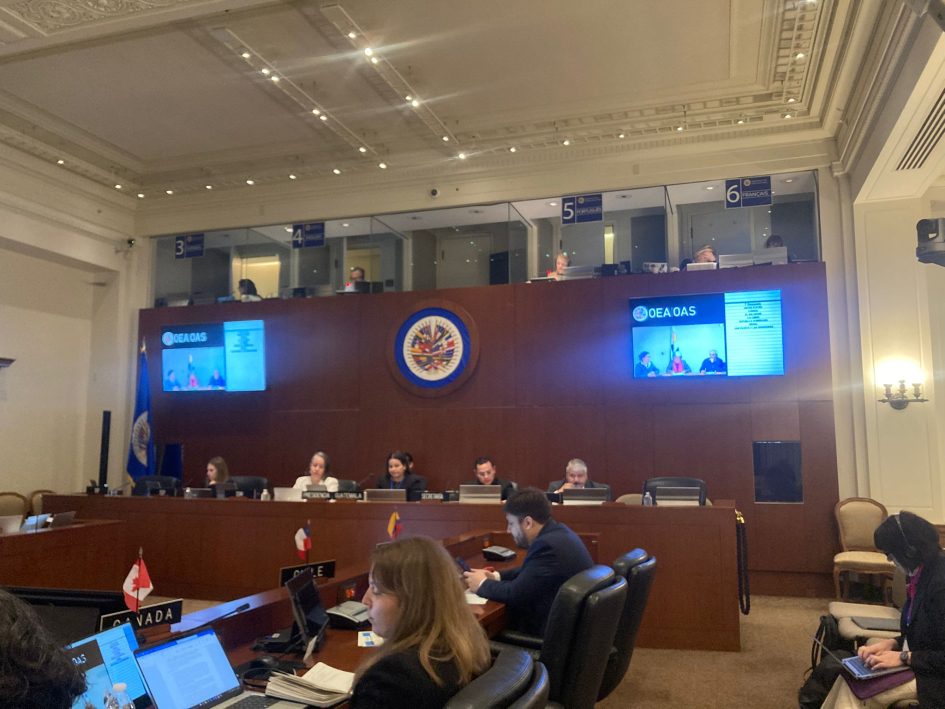 Estados miembro durante la 8va. reunión de autoridades de la OEA. Estados miembro durante la 8va. reunión de autoridades de la OEA.