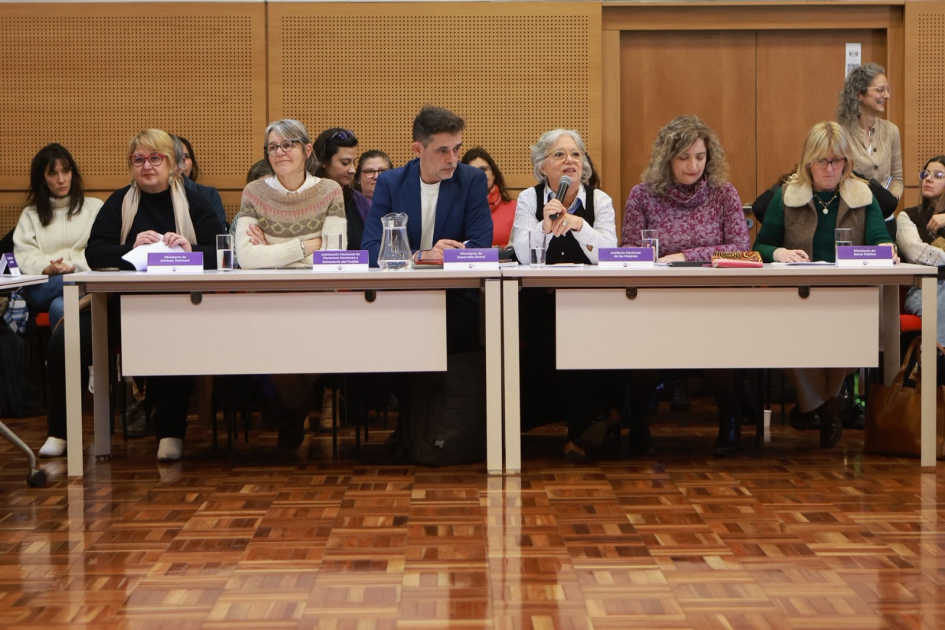 Mónica Xavier en uso de la palabra durante la sesión del CNG del 14/7/2026. Mónica Xavier en uso de la palabra durante la sesión del CNG del 14/7/2026.