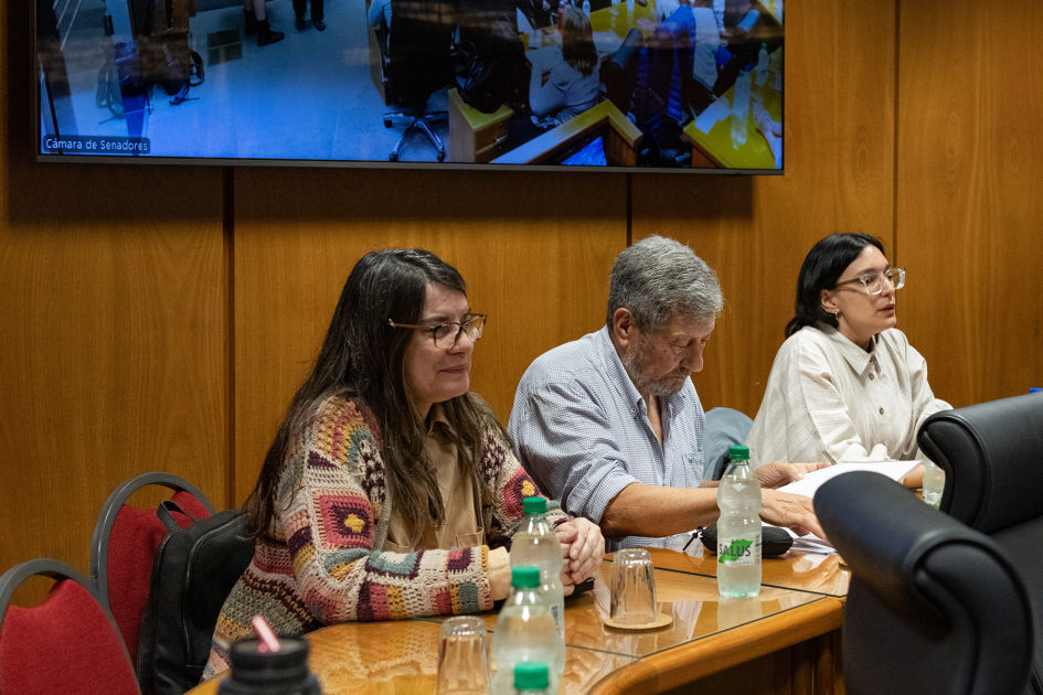 Autoridades del Ministerio de Desarrollo Social en Comisión de Presupuesto del Senado.