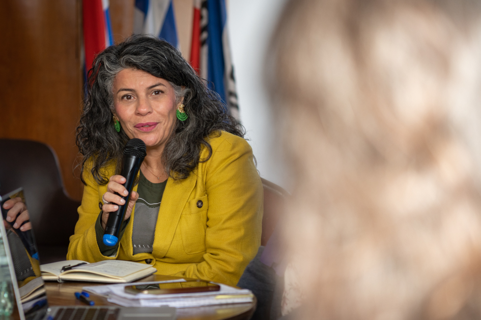 Consejo Nacional Consultivo Por Una Vida Libre De Violencia De Género hacia Las Mujeres mujer con un micrófono hablando