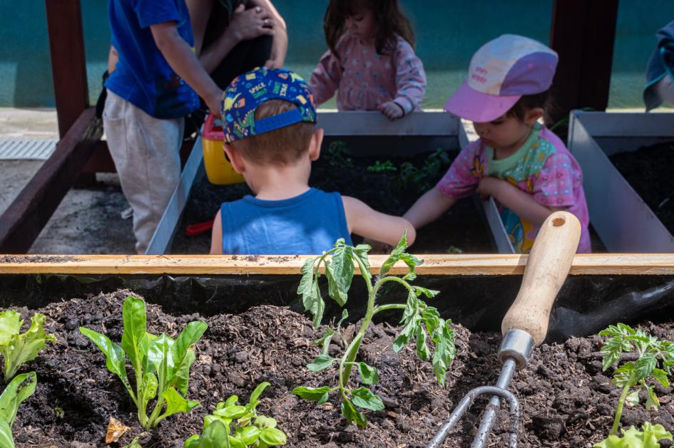 Niños trabajando en la huerta Niños trabajando en la huerta