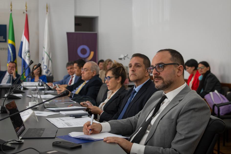 Representantes del Instituto Social del Mercosur y IPPDH Representantes del Instituto Social del Mercosur y IPPDH