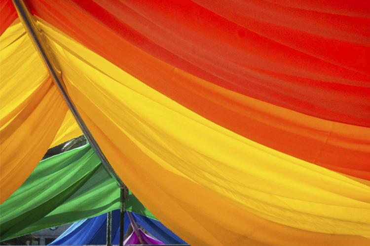 Bandera de la diversidad Bandera de la diversidad