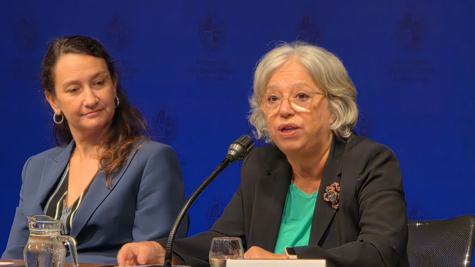 Mónica Xavier en la presentación del Plan de Igualdad de Género 2025-2030 del MRREE. Foto: MRREE.