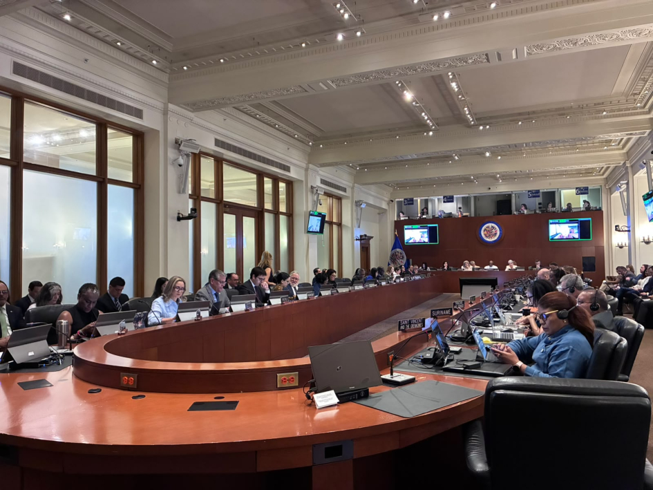 Reunión del Consejo Permanente de la Organización de los Estados Americanos (OEA).