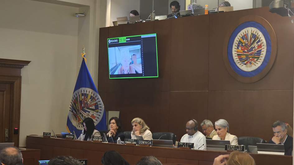Reunión del Consejo Permanente de la Organización de los Estados Americanos (OEA).