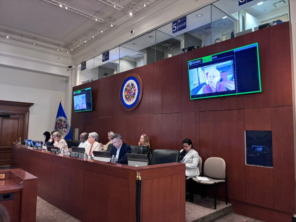 Reunión del Consejo Permanente de la Organización de los Estados Americanos (OEA).