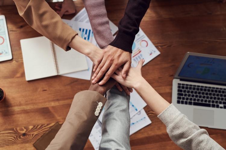 Proceso de reestructura y creación de carrera funcional Personas trabajando en equipo en oficina