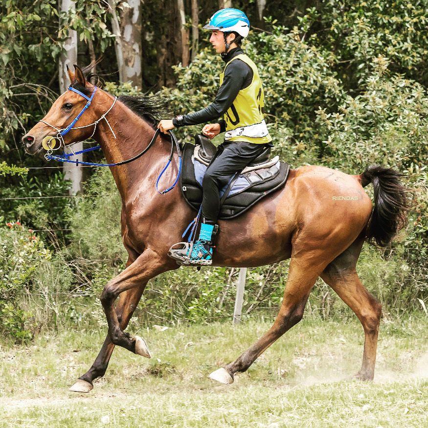 Santiago entrenando a caballo 