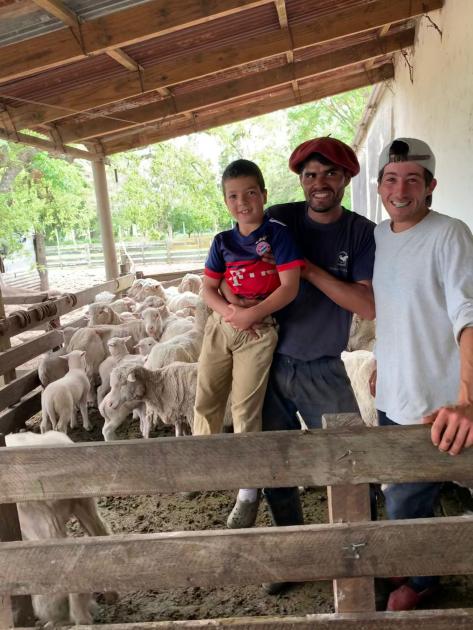 Santiago junto a compañero en el corral de las ovejas Santiago junto a compañero en el corral de las ovejas