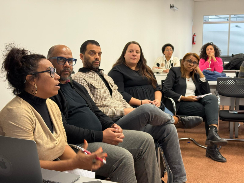 Primera sesión del Consejo Nacional de Equidad Racial y Afrodescendencia en 2025. Representante del Consejo de Equidad Racial presenciando una reunión en una sala.