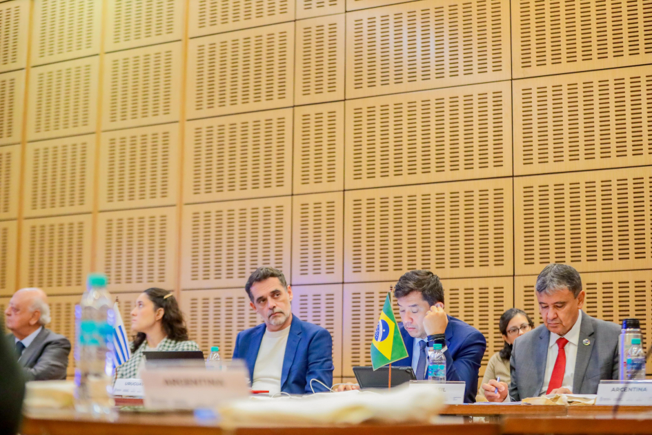 Subsecretario Federico Graña en Reunión de Ministros de Desarrollo Social del MERCOSUR. Federico Graña hablando en reunión del Mercosur.