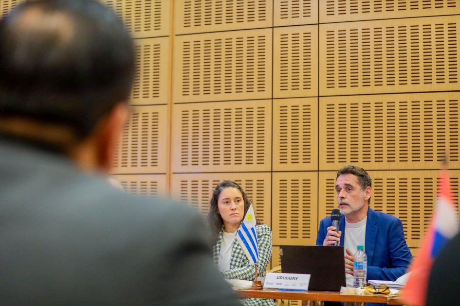 Subsecretario Federico Graña en Reunión de Ministros de Desarrollo Social del MERCOSUR. Federico Graña hablando en reunión del Mercosur.