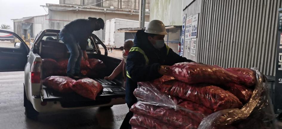 Donación de zanahorias Donación de zanahorias