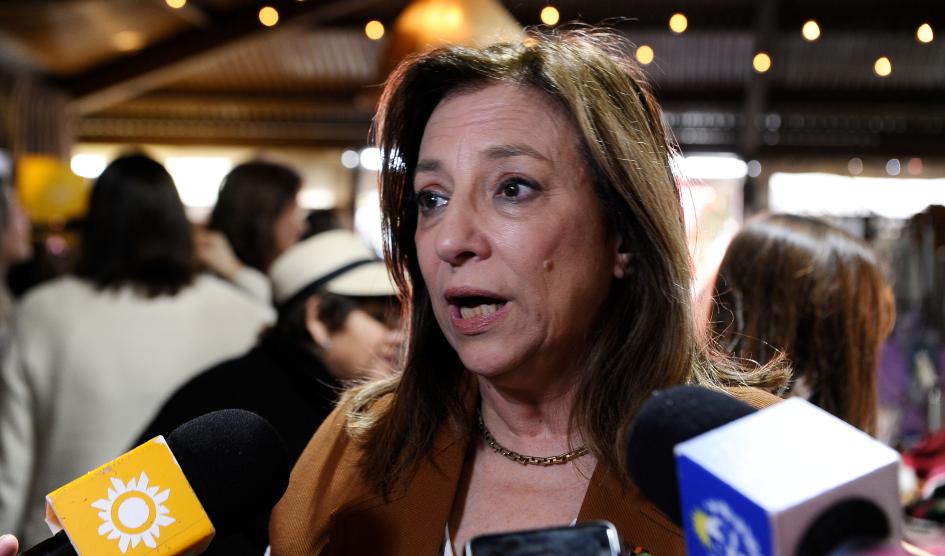 La directora de Inmujeres, Mónica Bottero, en rueda de prensa (Foto: Presidencia) La directora de Inmujeres, Mónica Bottero, en rueda de prensa (Foto: Presidencia)