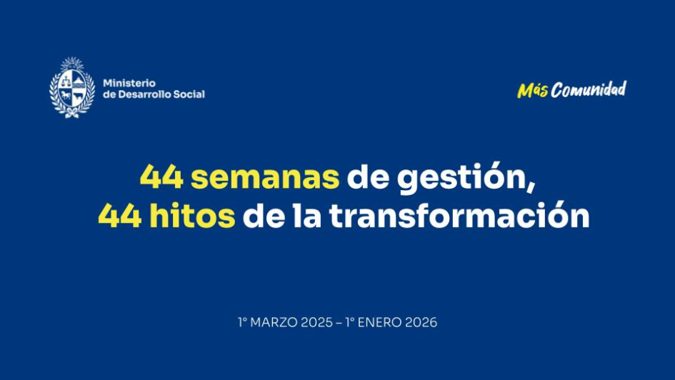 Portada 44 semanas - 44 hitos.