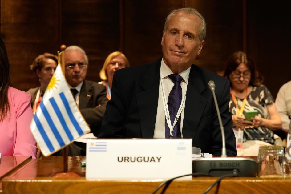 Director de Inmayores Director de Inmayores