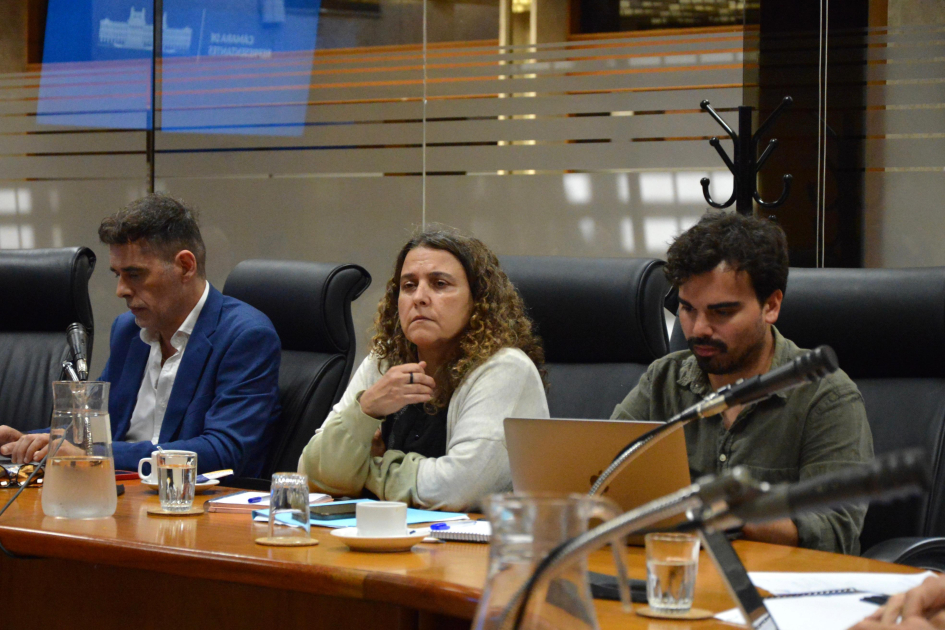 Autoridades del ministerio en comparecencia ante comisión de Diputados