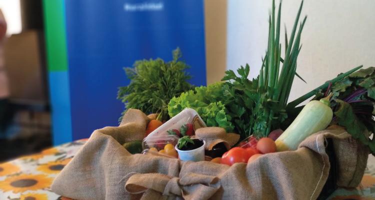 Compras públicas a la agricultura familiar Verduras y hortalizas en un canasto
