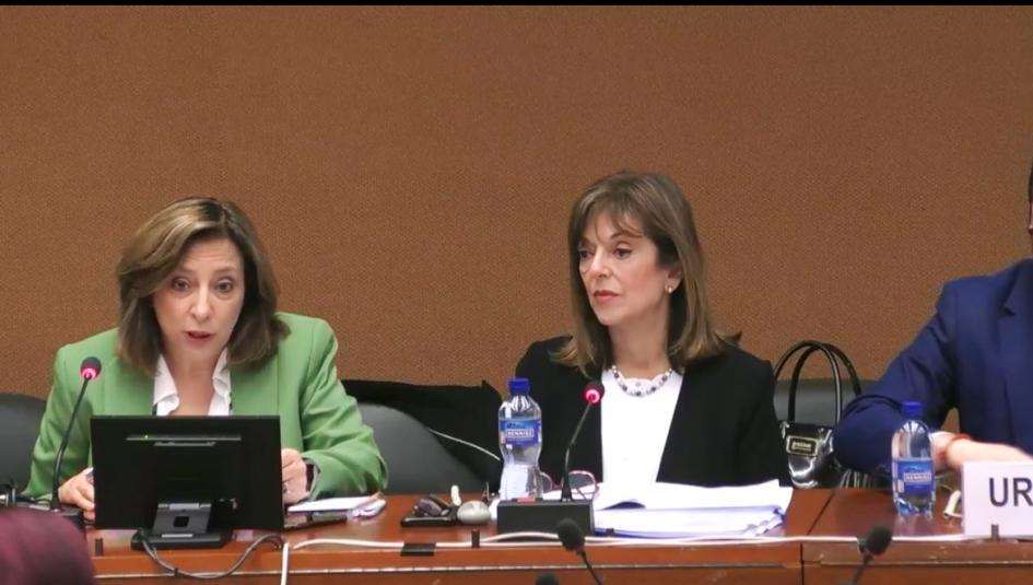 Directora nacional del InMujeres en CEDAW 2023