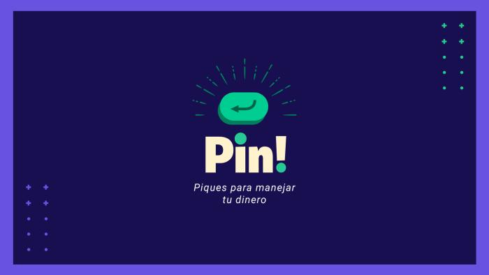 Imagen ilustrativa de pin