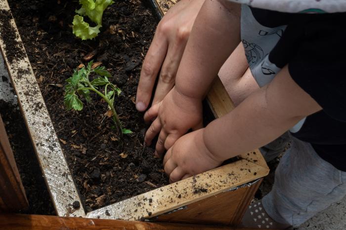 Manos de niño y adulto plantando en la tierra
